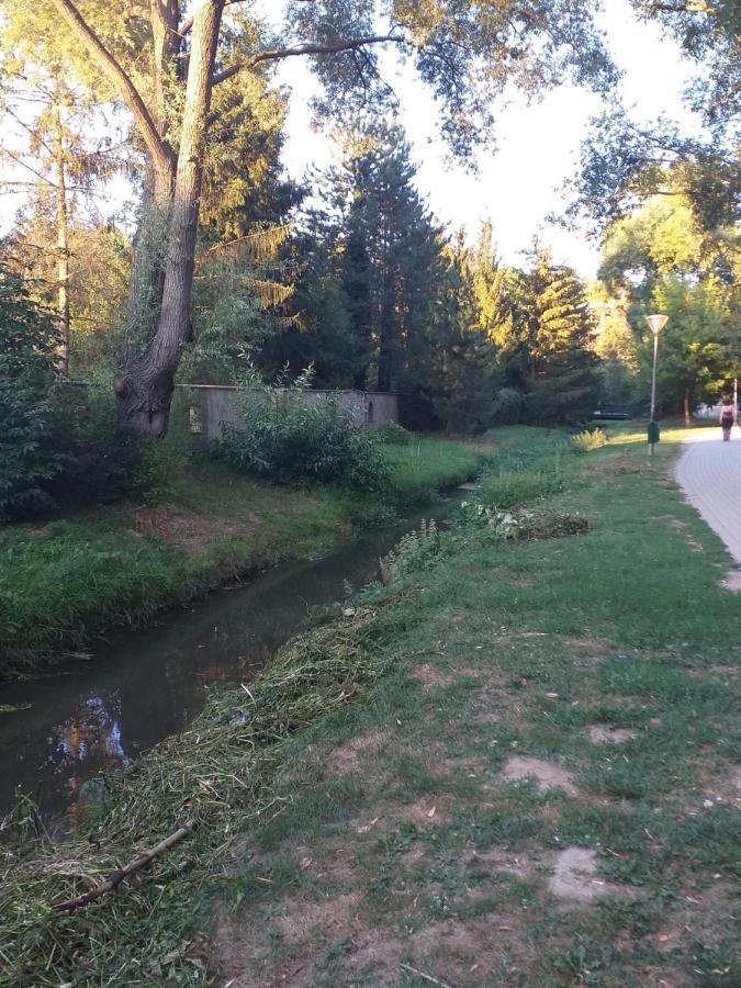 Galeria Apartman Veszprém Zewnętrze zdjęcie